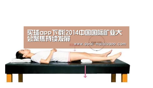 买球app下载|2014中国国际矿业大会聚焦持续发展(图2) 买球网