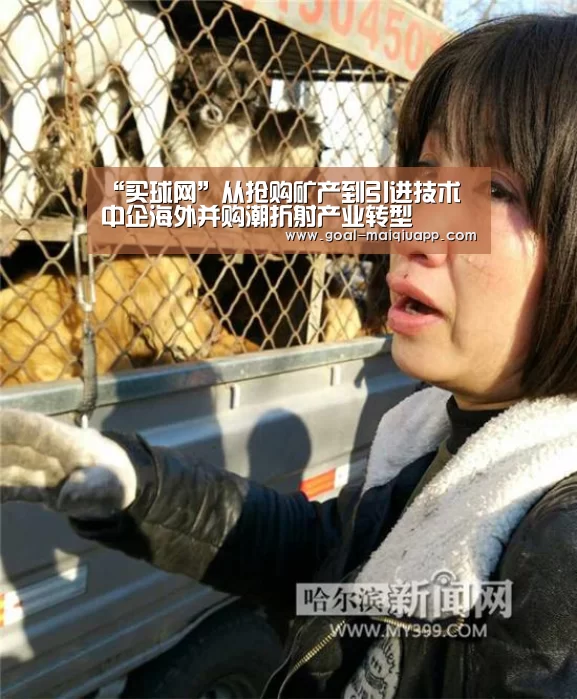 买球app下载