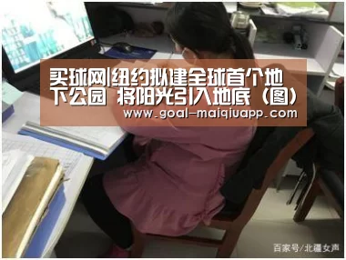 买球网|纽约拟建全球首个地下公园 将阳光引入地底(图)(图1) 买球app下载