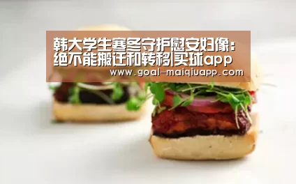韩大学生寒冬守护慰安妇像:绝不能搬迁和转移|买球app下载(图1) 买球app下载