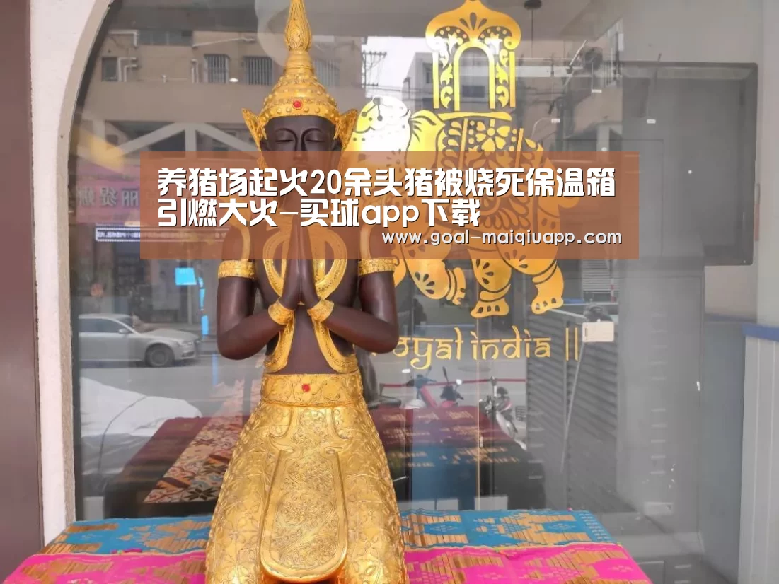 养猪场起火20余头猪被烧死保温箱引燃大火-买球app下载(图2) 买球app下载