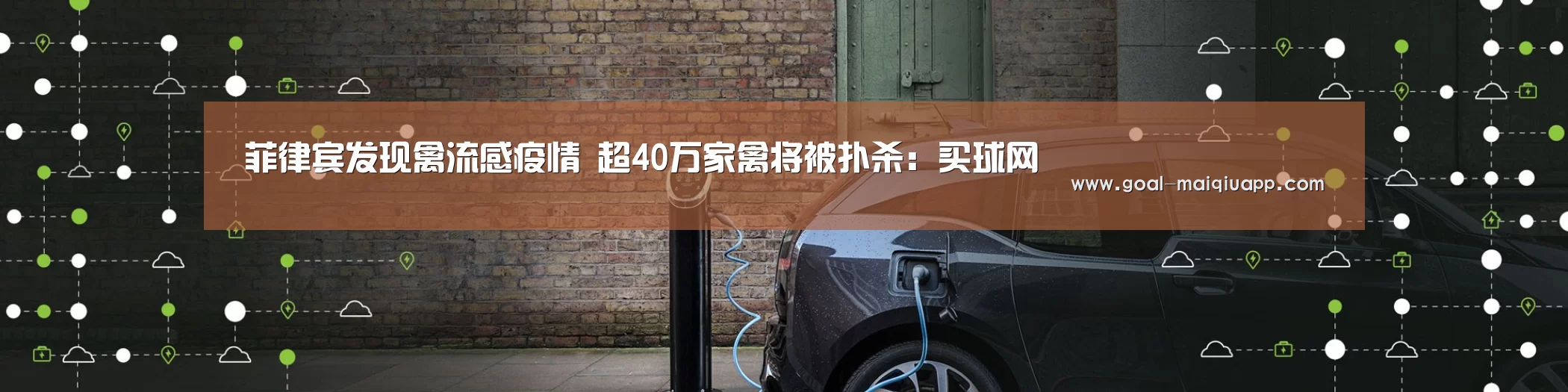 菲律宾发现禽流感疫情 超40万家禽将被扑杀:买球网(图3) 买球网