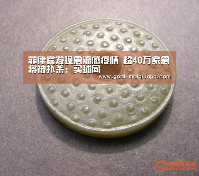 菲律宾发现禽流感疫情 超40万家禽将被扑杀:买球网(图2) 买球网
