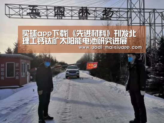 买球app下载|《先进材料》刊发北理工钙钛矿太阳能电池研究进展(图3) 买球网